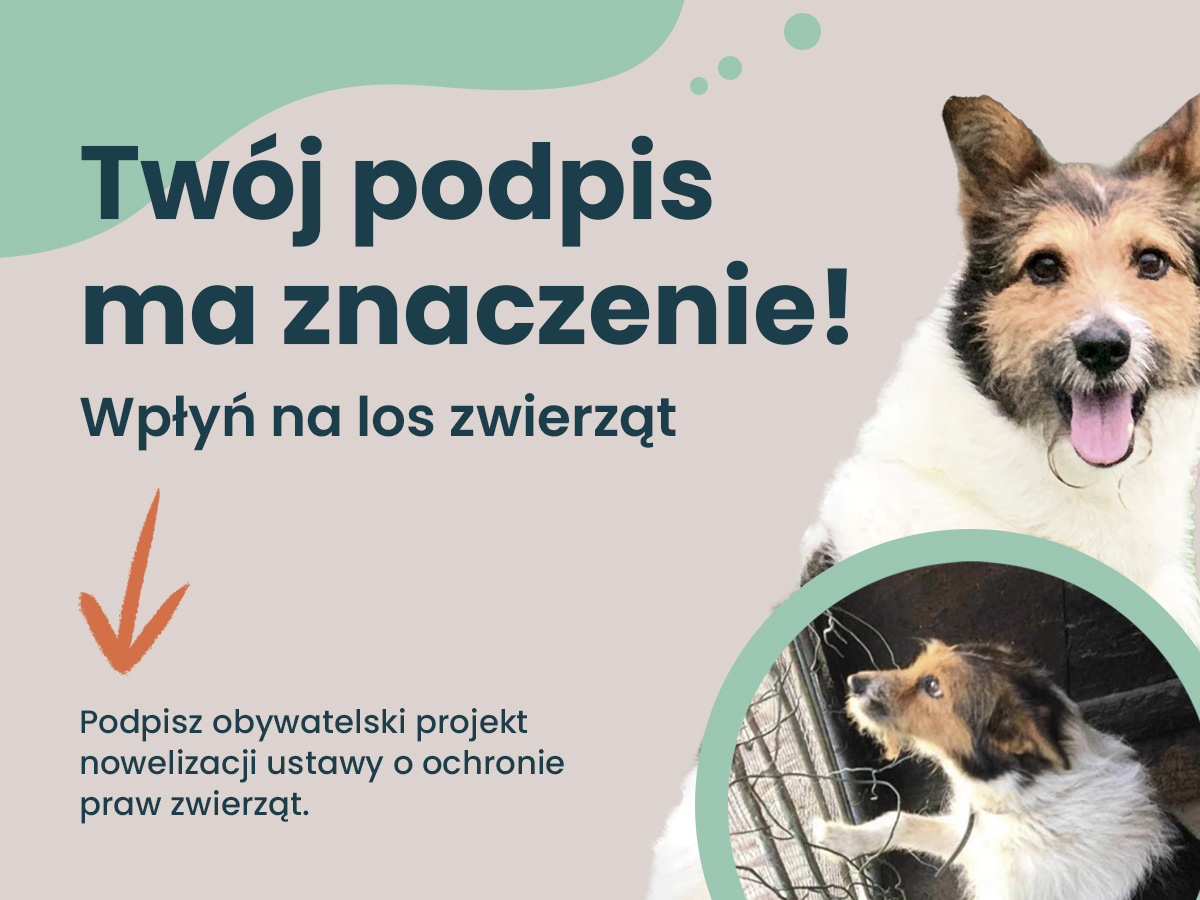 Projekt nowelizacji ustawy_strona-5